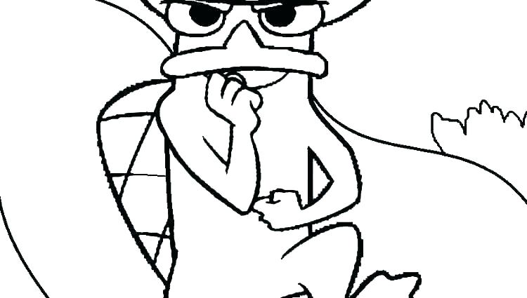 750x425 Platypus Coloring