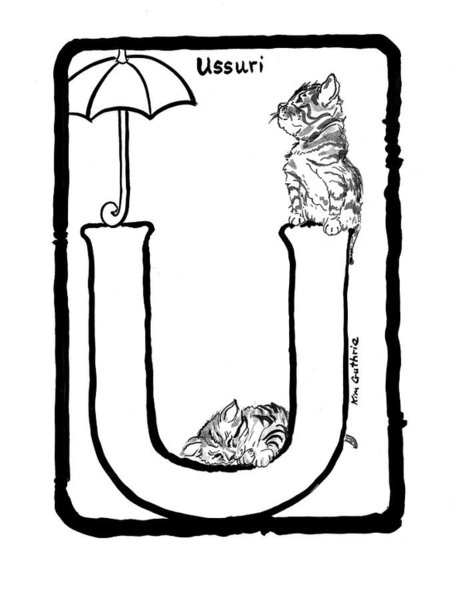 463x600 Playing Cards Paintings