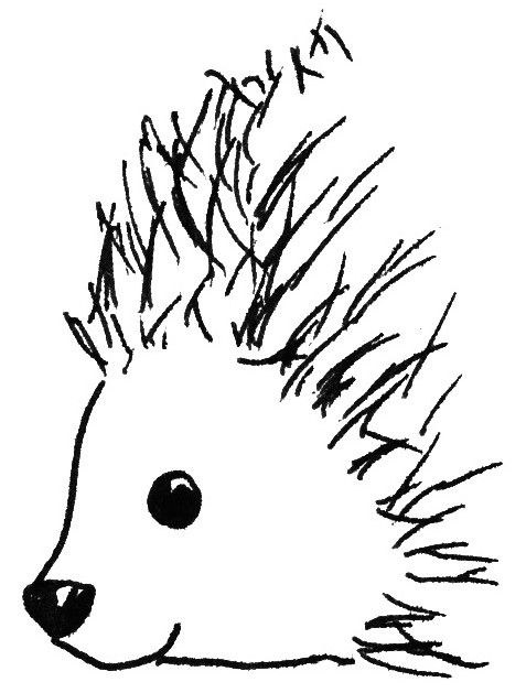 477x629 Playroom In Hedgehog