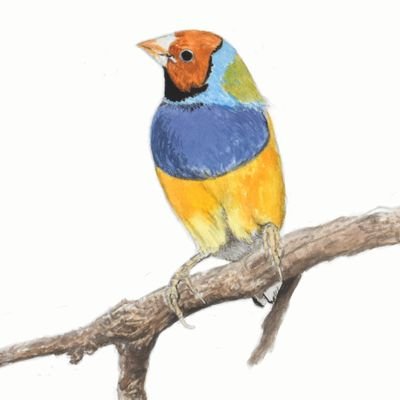 400x400 Daniel Ross Art On Twitter