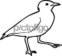 200x181 Download Freehand Icon From Pictofigo For Egyptian Plover