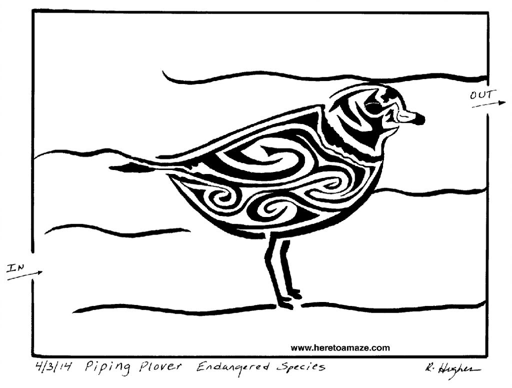 1024x776 Great Lakes Piping Plover Maze