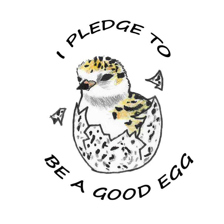 760x760 outreach materials afsi