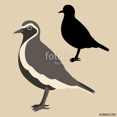 500x500 Plover Bird Vector Illustration Flat Style Black Silhouette Stock