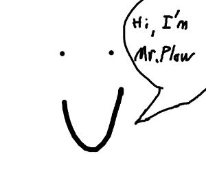 300x250 Call Mr Plow