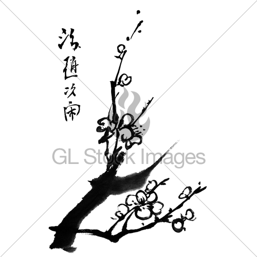 500x500 Plum Blossom Gl Stock Images
