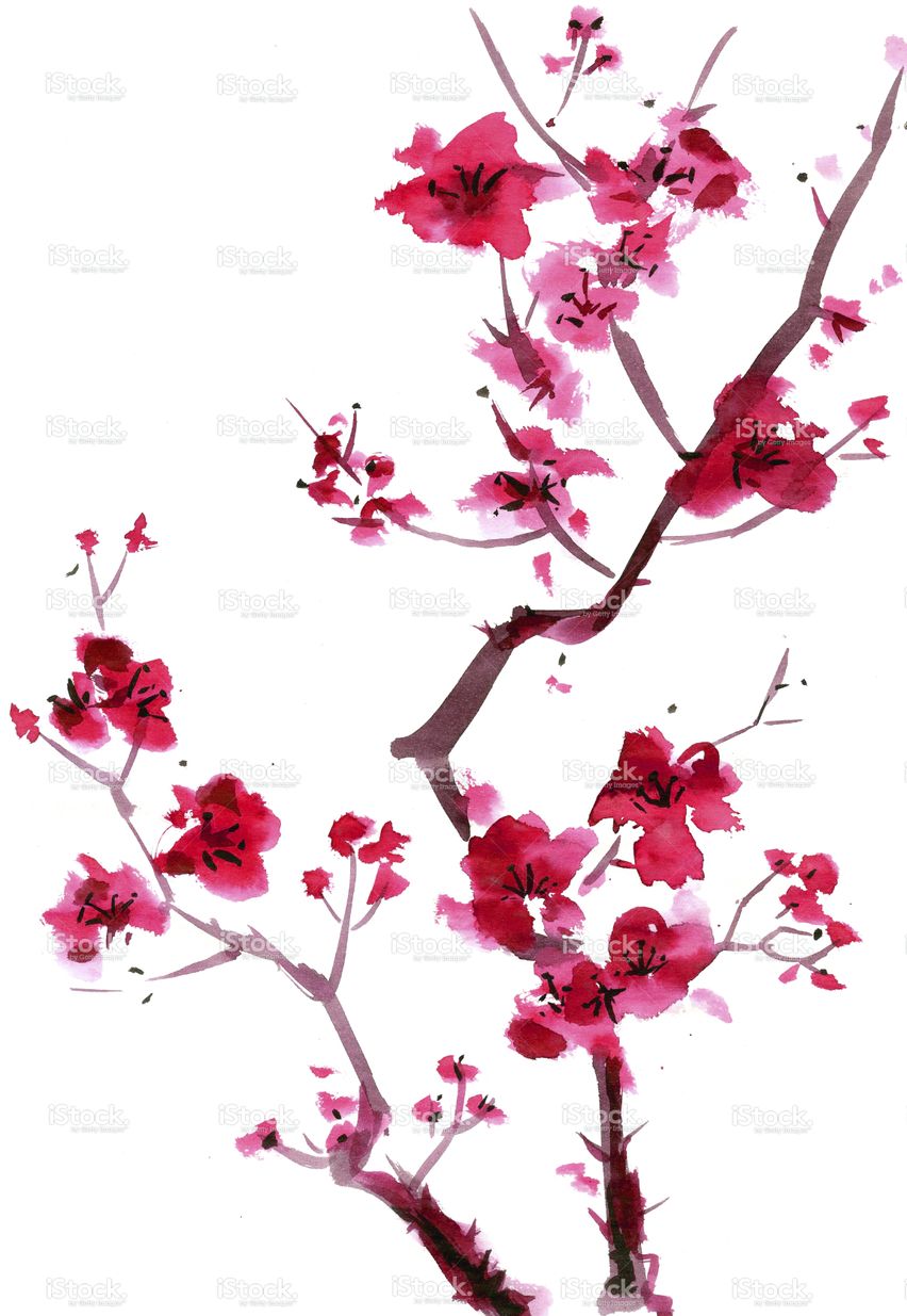 852x1235 Plum Blossom Painting Paintings Cherry Blossom Art, Cherry