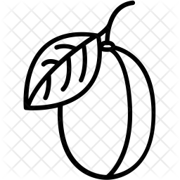 256x256 Plum Icon Of Line Style