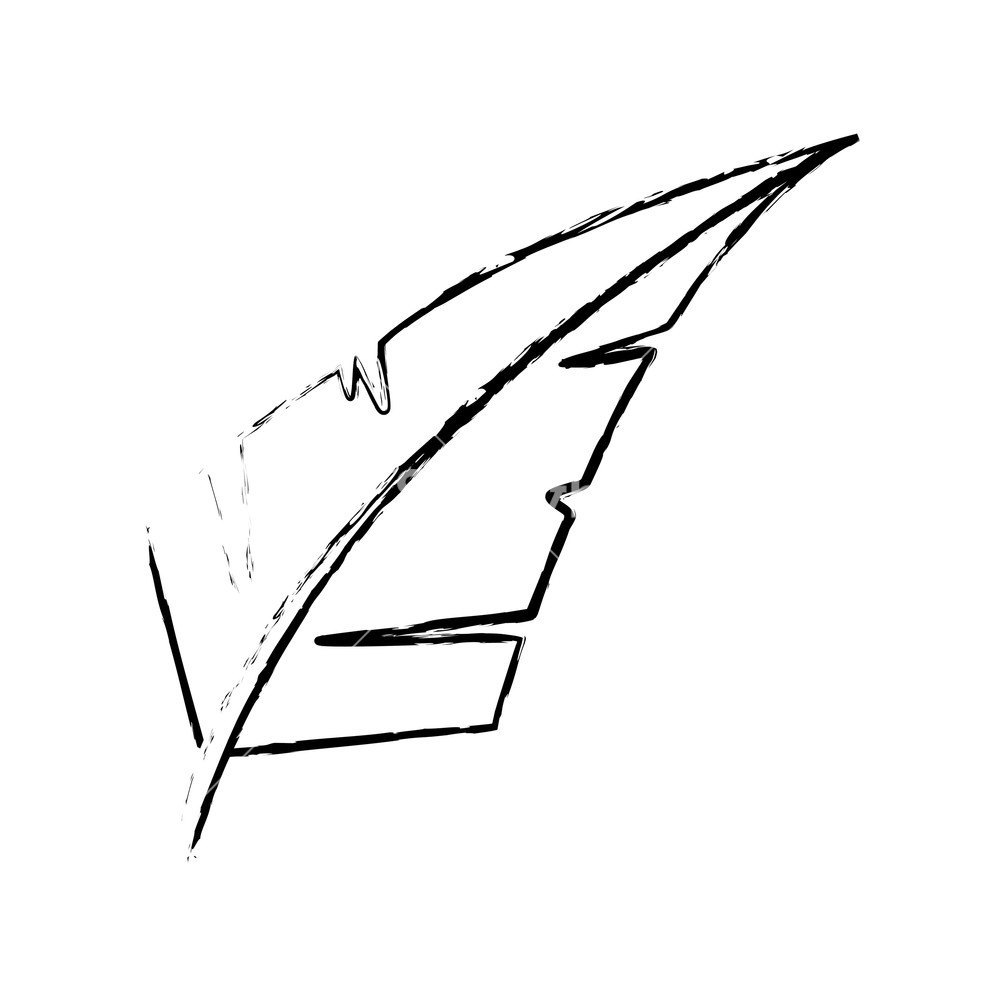 1000x1000 Feather Of Plume Bird And Decoration Theme Isolated Design Vector