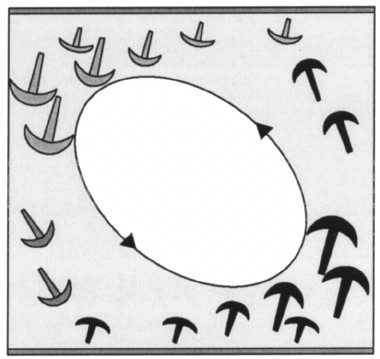 380x359 A Schematic Drawing Of The Velocity Field And The Plume