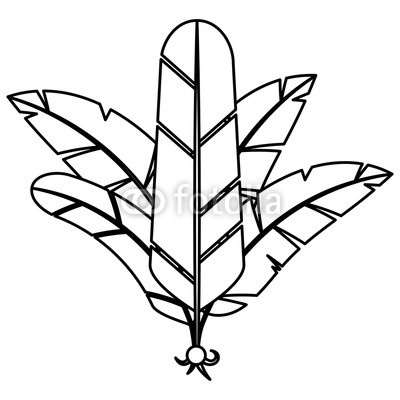 400x400 Isolated Feather Plume Design Buy Photos Ap Images Detailview