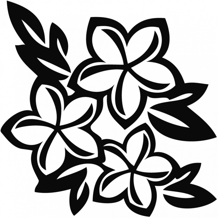 900x900 Drawing, Flower, Leaf, Transparent Png Image Clipart Free Download