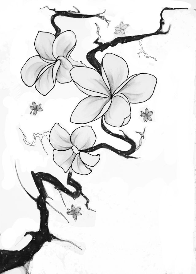 639x893 Tattoo Plumeria Tattoo, Tattoos, Tattoo