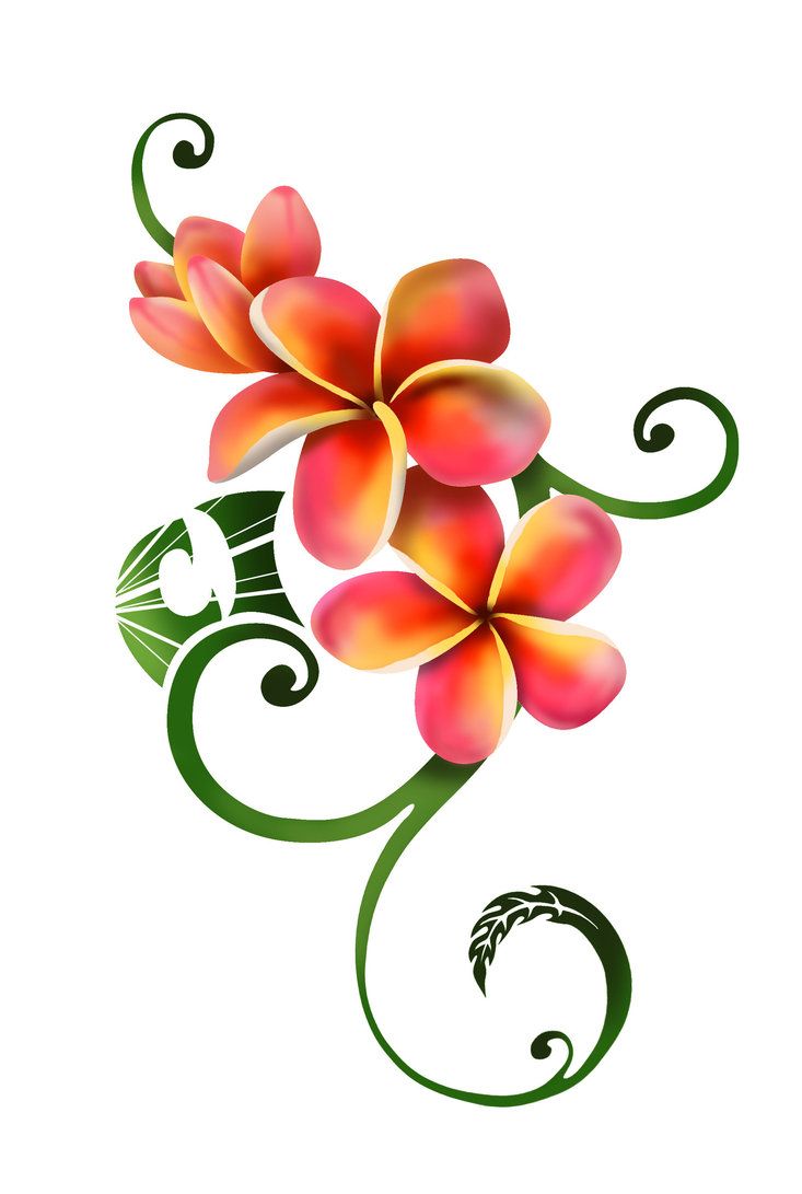 Collection of Plumeria clipart | Free download best Plumeria clipart on