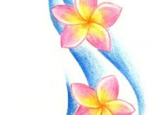 640x480 Plumeria Clipart