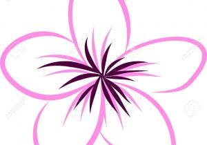 300x210 Plumeria Rubra Flower Easy Drawings How To Draw A Frangipani