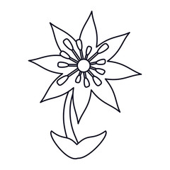 240x240 Plumeria Photos, Royalty Free Images, Graphics, Vectors Videos