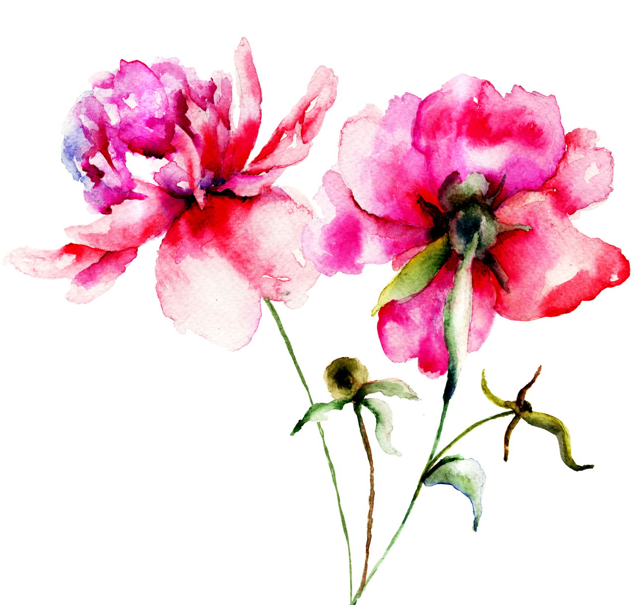 1280x1221 Learn How To Draw Flowers With These Step