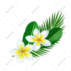 300x300 Seamless Pattern Tropical Flowers Strelicia Plumeria Banana Leaf