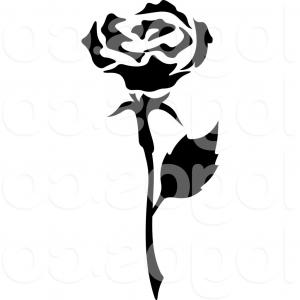 300x300 Stock Photo Plumeria Flower Drawing Illustration Black And White