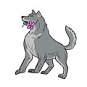 180x180 Timber Wolf Holding Plumeria Flower Drawing Digital Art