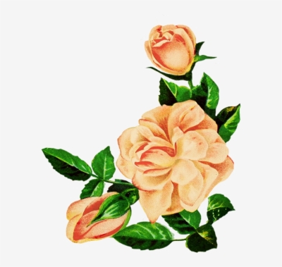 400x379 Flower Drawing Png