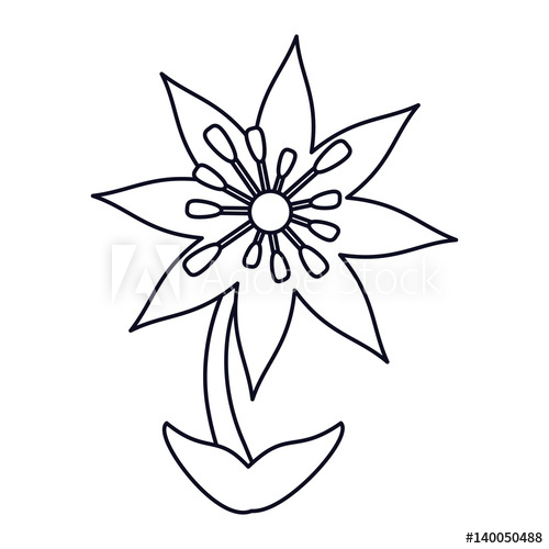 500x500 Plumeria Flower Decoration Line Vector Illustration