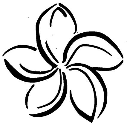 425x420 Fancy Plumeria Flower