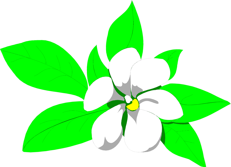958x693 Collection Of Free Plumeria Drawing Animated Download On Ui Ex