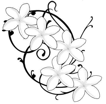 417x411 Drawings Of Frangipani Flowers Best Plumeria Images