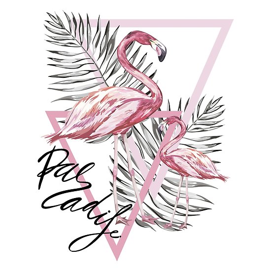 550x550 Flamingo And Plumeria Flowers Posters