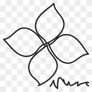 320x319 Free Png Plumeria Png Images Transparent