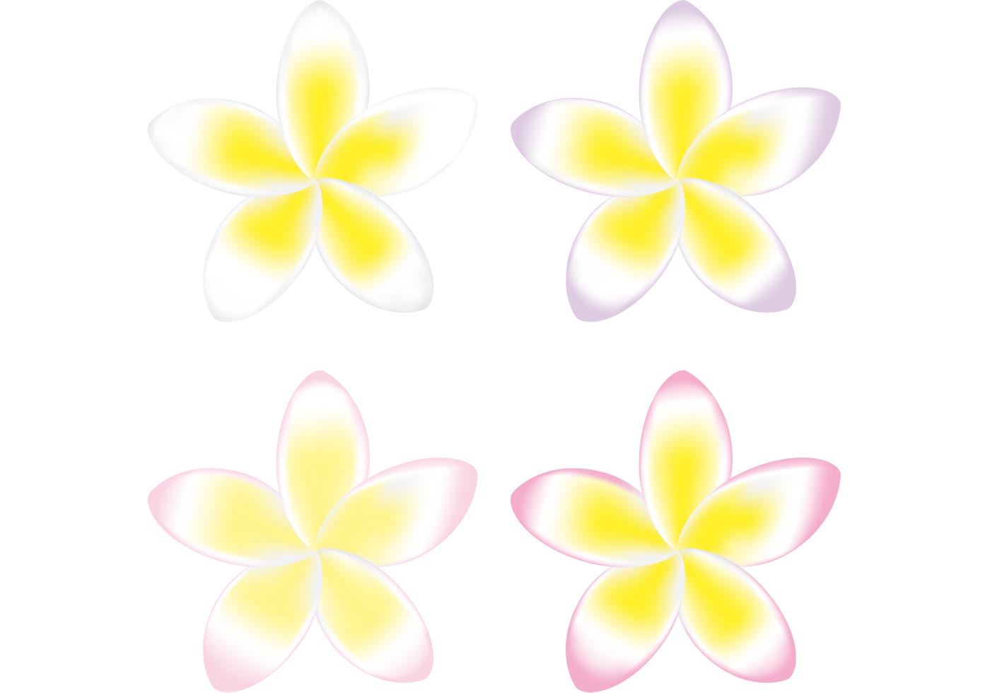 1400x980 Plumeria Free Vector Art