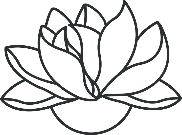 736x547 Plumeria Drawing Kalachuchi For Free Download