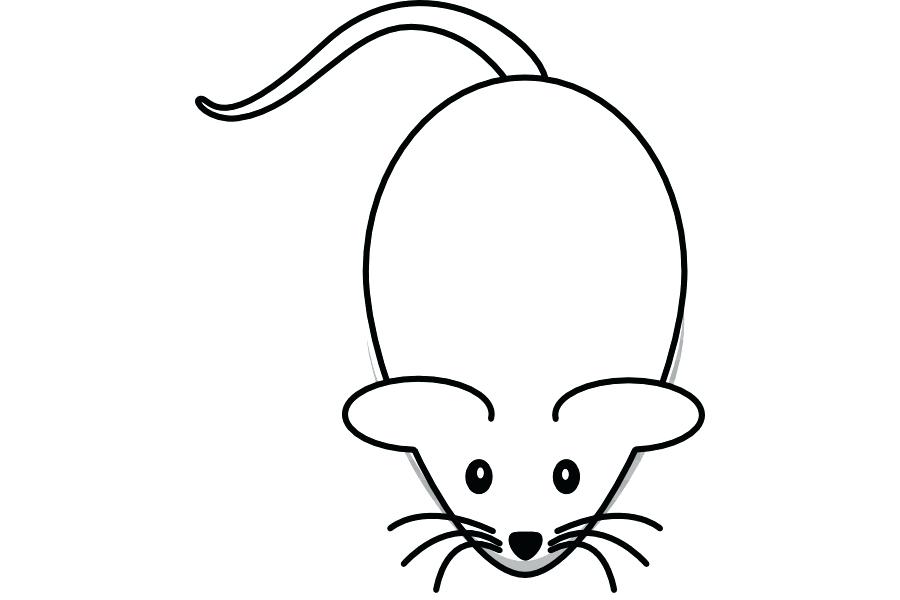 900x600 Pluto From Mickey Mouse Coloring Wallpaper Pages Flowers Roses