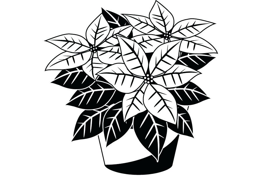 900x620 Coloring Pages For Girls Pdf To Print Out Adults Flowers