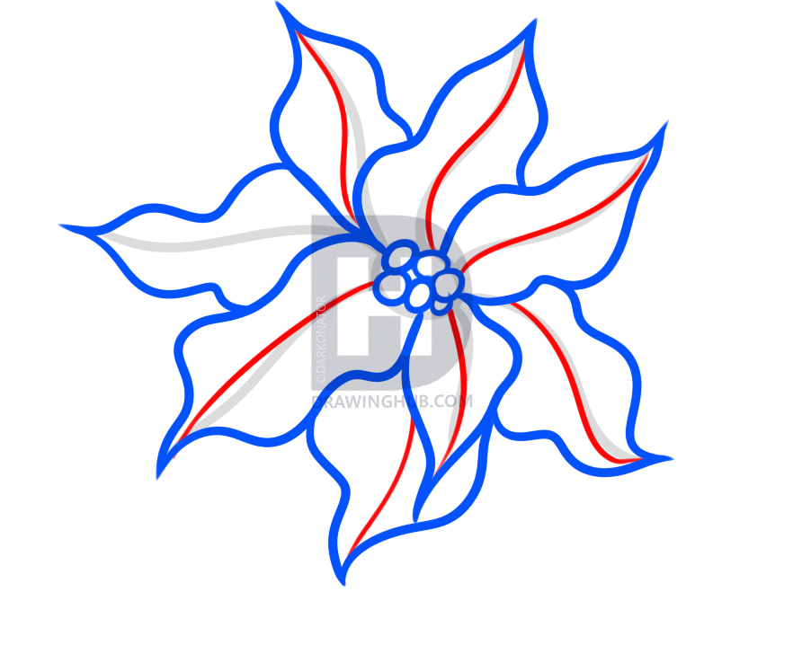882x718 How To Draw A Christmas Flower, Step