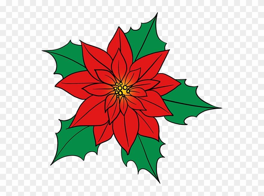 880x654 How To Draw Poinsettia