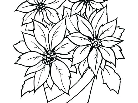 440x330 Poinsettia Christmas Flower Coloring Pages To Print Out For Adults