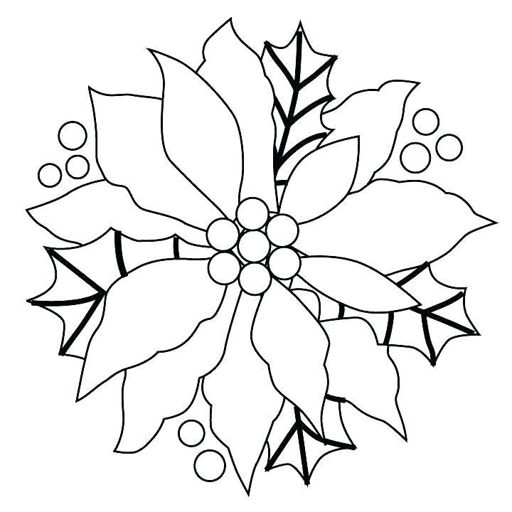 720x720 Poinsettia Coloring
