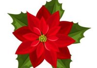 200x140 Poinsettia Drawing Clip Art Others Png Download Free