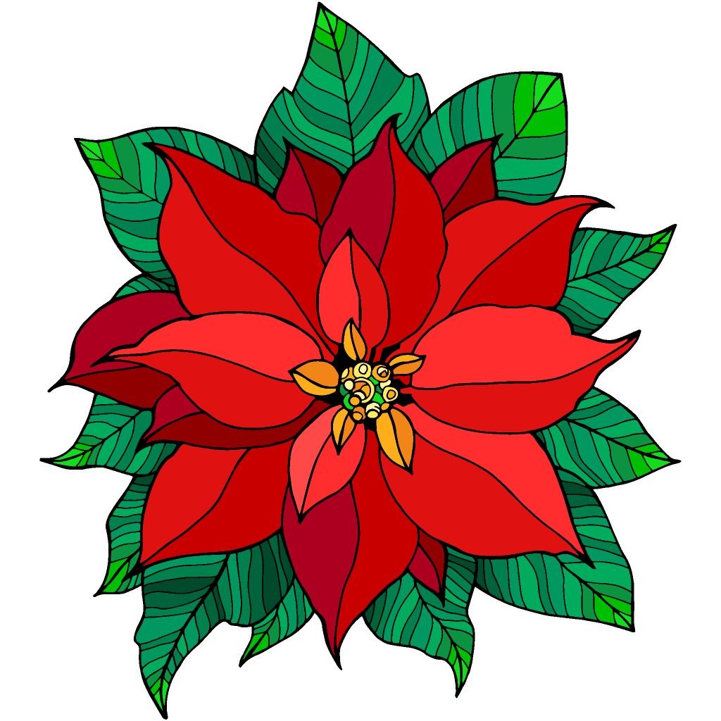1024x1024 poinsettia drawing poinsetta poinsettia coloring