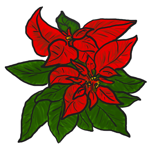 500x500 Collection Of Free Poinsettia Drawing Bouquet Download On Ui Ex