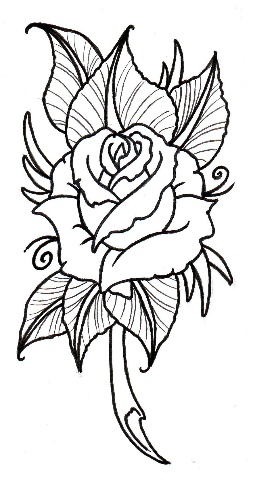 Poinsettia Drawing Outline