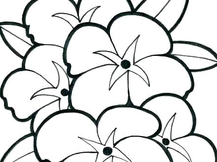 440x330 Coloring Pages Disney For Adults Animals Stitch Poinsettia Flower