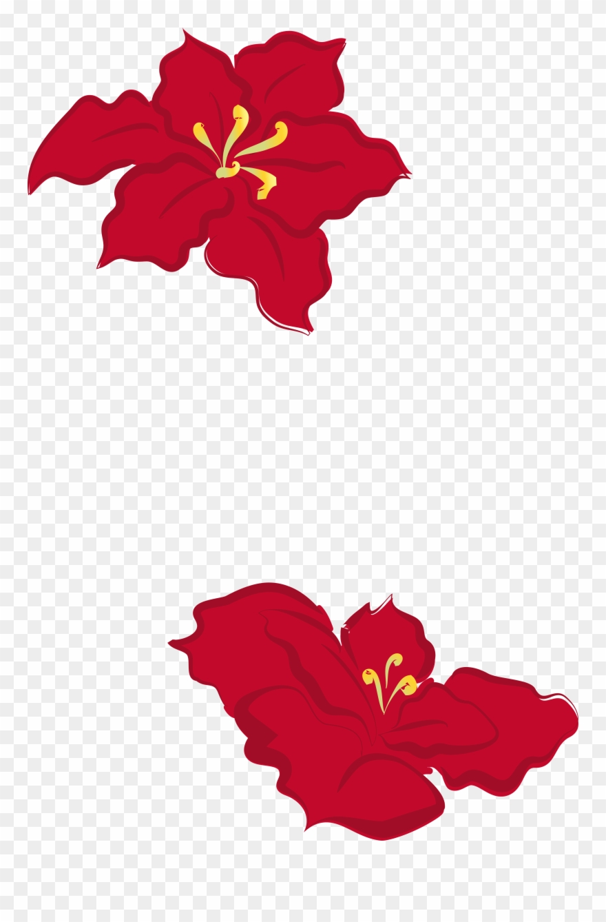 880x1338 Designed For Decoration With Poinsettia Leaf Flowers