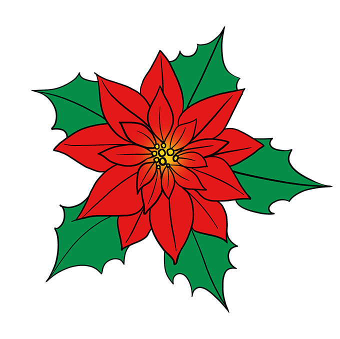 680x678 How To Draw A Poinsettia