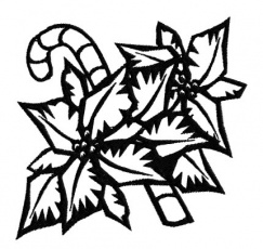 243x230 Poinsettia Outline Clipart