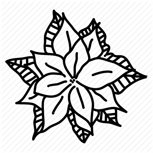 512x512 Collection Of Free Poinsettia Drawing Line Download On Ui Ex