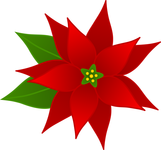 550x514 free clip art borders poinsettia christmas poinsettia flower